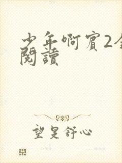 少年啊宾2全文阅读