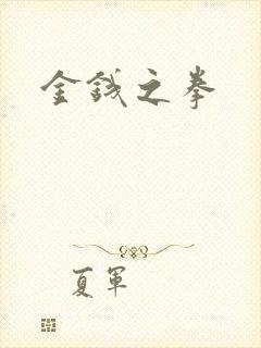 金钱之拳