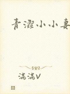 青涩小小妻