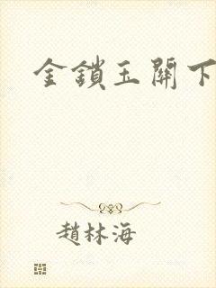 金锁玉关下载