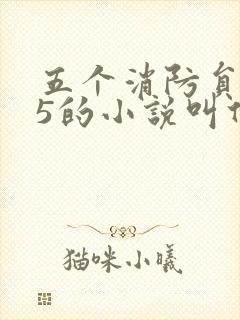 五个消防员1v5的小说叫什么