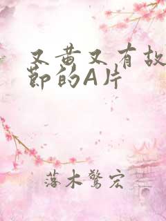 又黄又有故事情节的A片