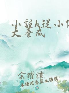 小说h从小做到大养成