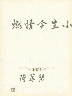 燃情今生小说