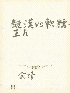 糙汉vs软糯女主h