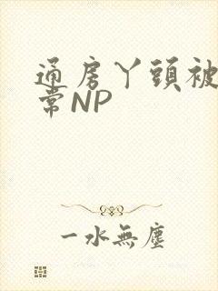 通房丫头被肉日常NP