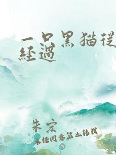 一只黑猫从眼前经过