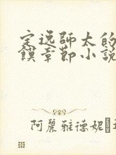 定逸师太的肉夹馍章节小说