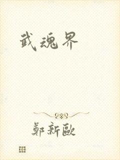 武魂界