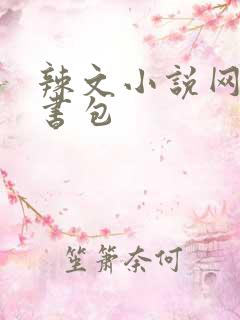 辣文小说网第二书包