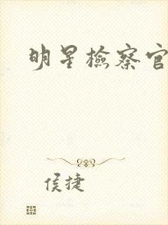 明星检察官小说