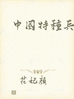 中国特种兵小说