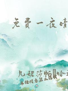 免费一夜晴交友