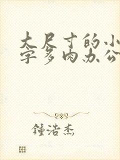 大尺寸的小黄说字多肉办公室