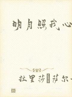 明月照我心小说