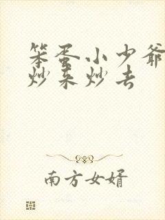 笨蛋小少爷又被炒来炒去