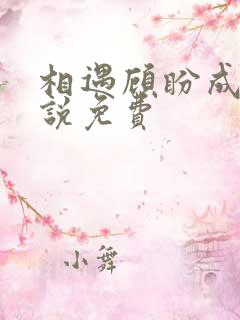 相遇顾盼成欢小说免费