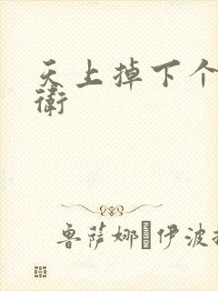 天上掉下个影卫卫