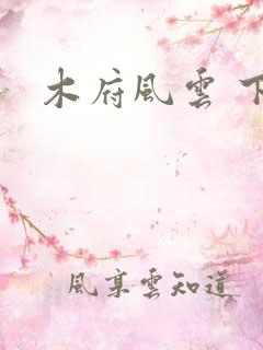 木府风云 下载