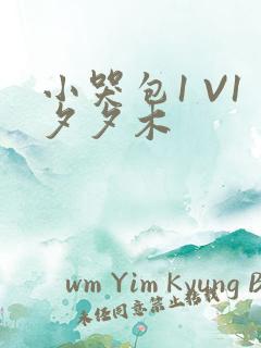 小哭包1 V1夕夕木