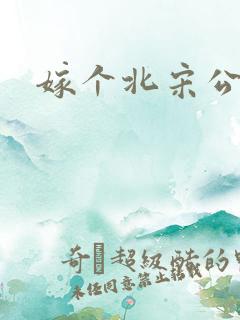 嫁个北宋公务员