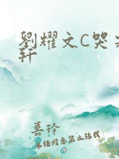 刘耀文C哭宋亚轩