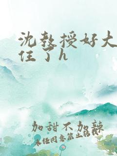 沈教授好大含不住了h