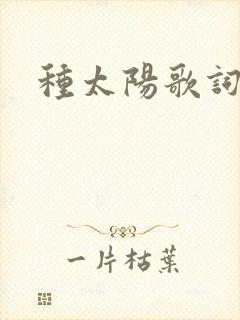 种太阳歌词