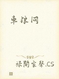 车狼网