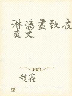 淋漓尽致夜晚小爽文