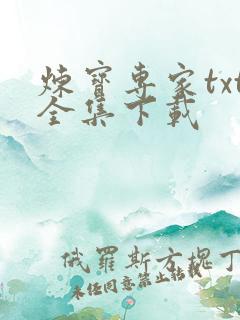 炼宝专家txt全集下载