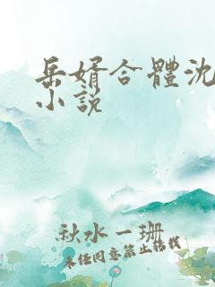 岳婿合体沈绝的小说