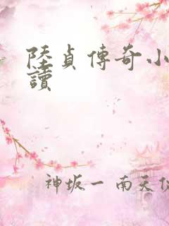 陆贞传奇小说阅读