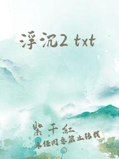 浮沉2 txt