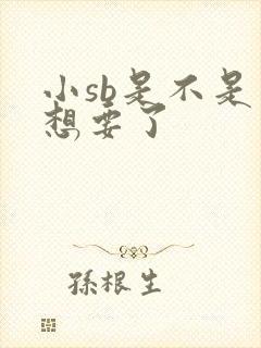 小sb是不是又想要了