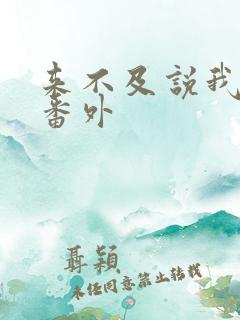 来不及说我爱你番外