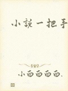 小说一把手