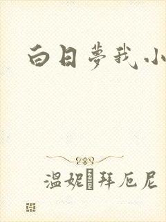 白日梦我小说