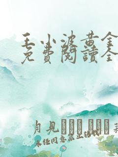 王小波黄金时代免费阅读全文