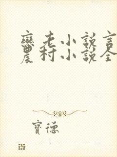 恋老小说言情网农村小说全文阅读