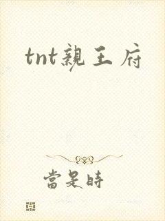 tnt亲王府