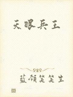 天眼兵王