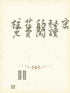 校花的秘密小说免费阅读