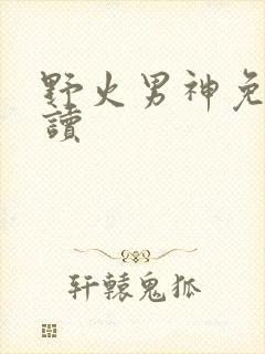 野火男神免费阅读