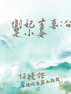 侧妃有喜:公主是小妾