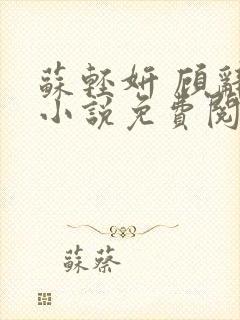 苏轻妍 顾辞笙小说免费阅读