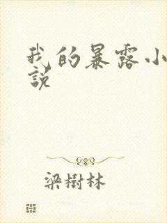 我的暴露小说小说