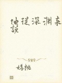 他从深渊来 小说