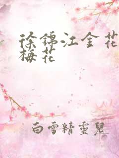 徐锦江金花瓶楷梅花