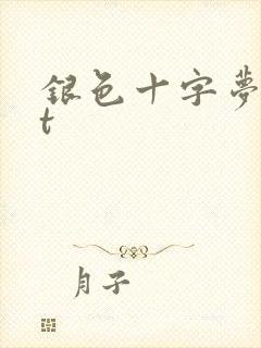 银色十字梦txt